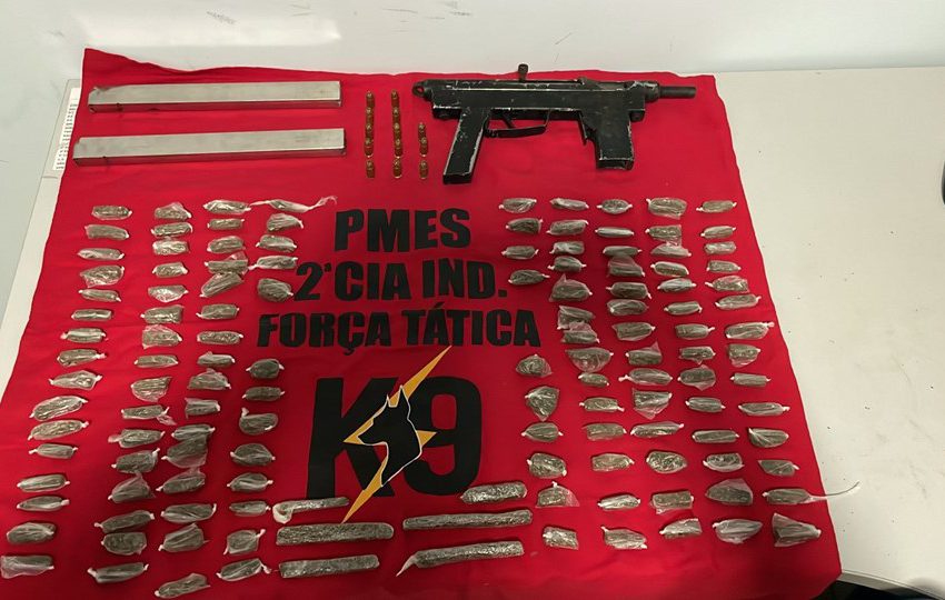  K9 da 2ª Companhia Independente apreende armamento e drogas em Afonso Cláudio