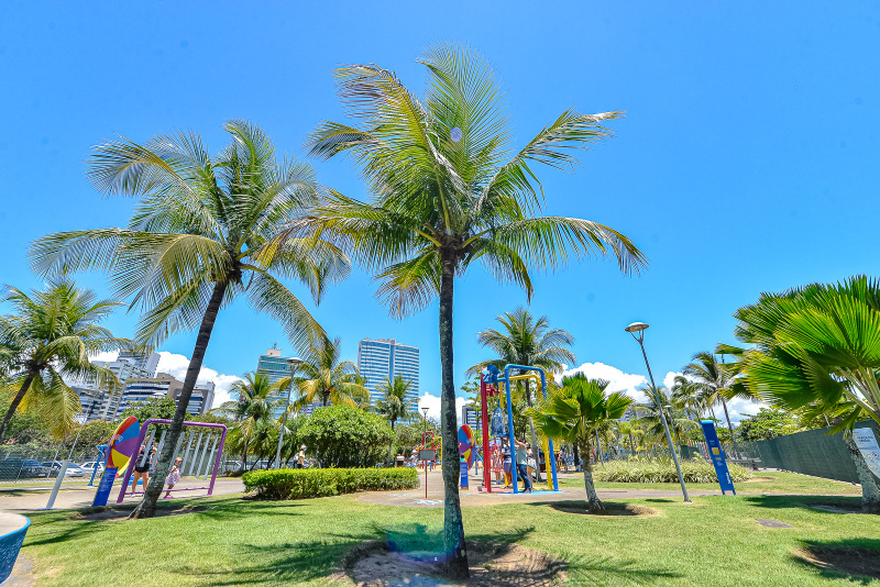  Feriado na Praça da Ciência tem opções de oficinas de quinta (8) a domingo (11)