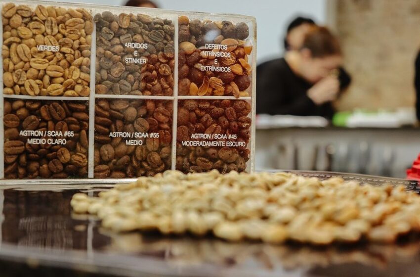  Feira ES+Café promove imersão no universo da cafeicultura capixaba