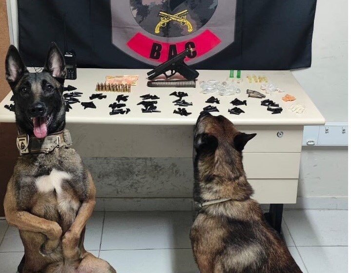  Batalhão de Ações com Cães apreende arma de fogo em Vitória