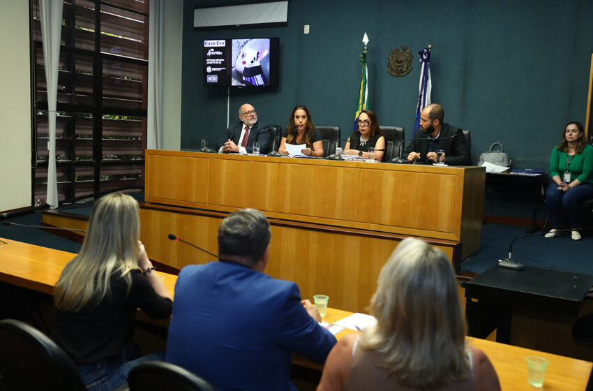  Clínica assume erro no caso da cadela Eva  Responsável pela clínica veterinária de onde a cadela Eva fugiu disse ter colocado em prática medidas possíveis para recuperar o animal, mas a tutora contesta a versão