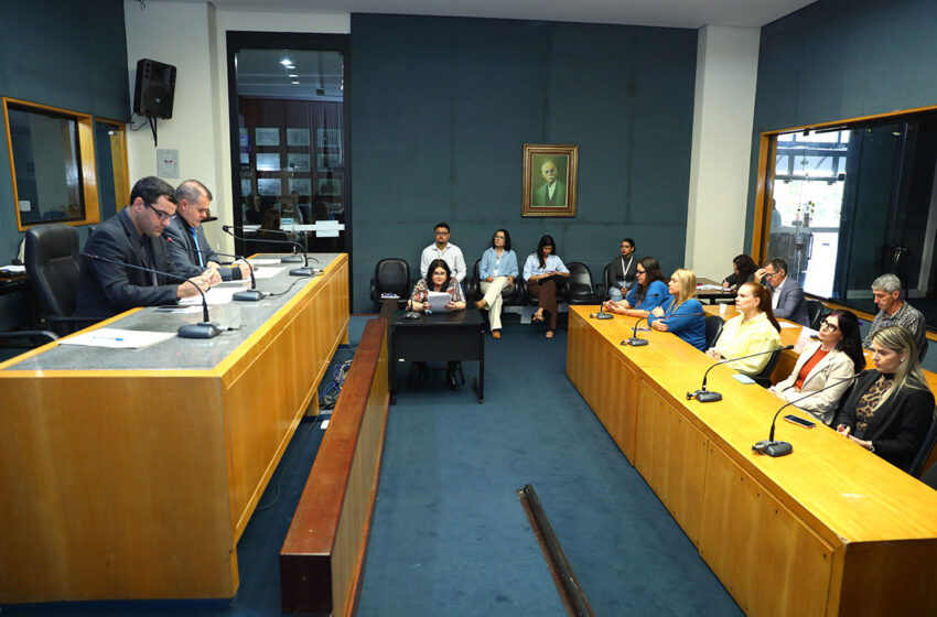  Comissão de Saúde debate desafios no diagnóstico e tratamento do autismo no Espírito Santo