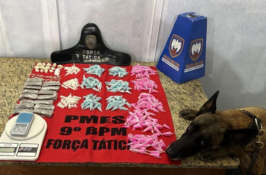  Cão farejador KIARA localiza entorpecentes durante patrulhamento da Força Tática em Cachoeiro