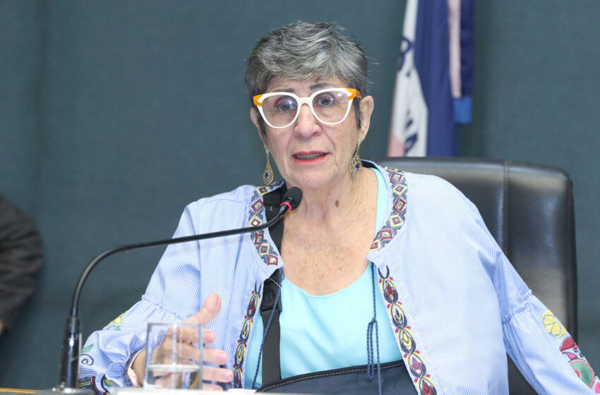  Iriny Lopes propõe formação continuada de professores para educação inclusiva no ES