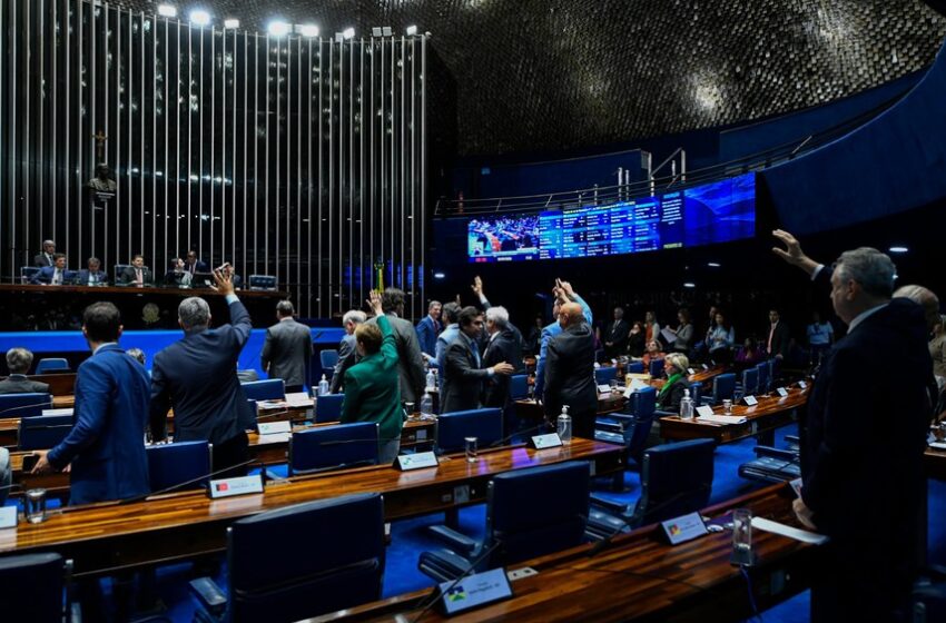  Senado aprova crédito consignado para trabalhadores do setor privado; proposta vai à sanção