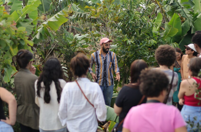  Parque Cultural Casa do Governador inicia implantação de agrofloresta e horta medicinal