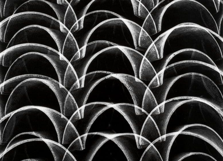  Parque Cultural Casa do Governador inaugura recorte da exposição ‘Moderna para Sempre’ com fotografia modernista nesta quarta (5)