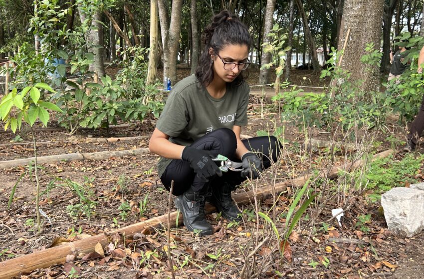  Parque Cultural Casa do Governador recebe palestra gratuita sobre manejo agroflorestal no dia 20 de junho